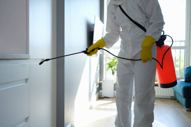 Best Attic Mold Removal  in Glen Ridge, NJ