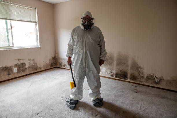 Best Mold Remediation  in Glen Ridge, NJ