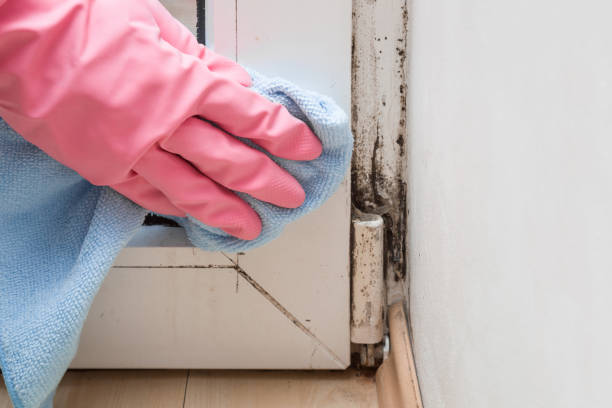 Best Crawl Space Mold Removal  in Glen Ridge, NJ